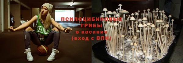 синтетический гашиш Краснослободск