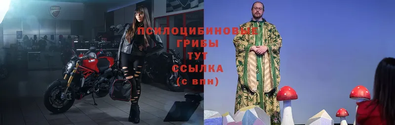MEGA как войти  Островной  Галлюциногенные грибы Cubensis 